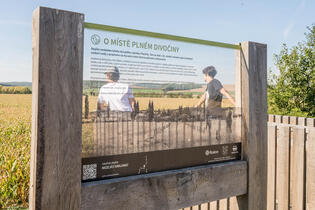 Disappearing Landscape Nature Trail Rosice Ostrovačice