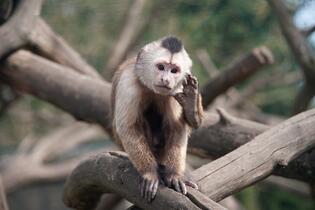 ZOO park