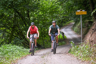 Go from Brno Cyklovýlet údolím Bobravy