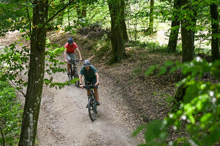 Go from Brno Cyklovýlet údolím Bobravy