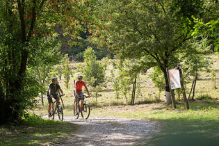 Go from Brno Cyklovýlet údolím Bobravy