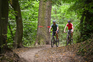 Go from Brno Cyklovýlet údolím Bobravy