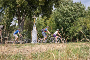 Go from Brno Na kole po stopách Napoleona