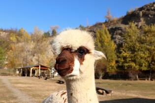 Go from Brno Výletní cíle