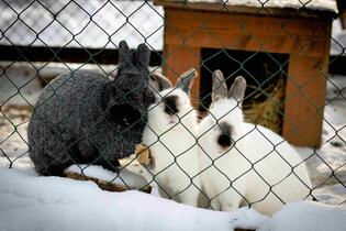 Go from Brno Výletní cíle