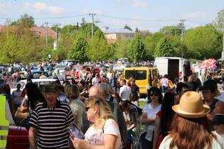 Go from Brno události veteráni Bučovice