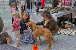 Go from Brno nej akce festival uprostřed