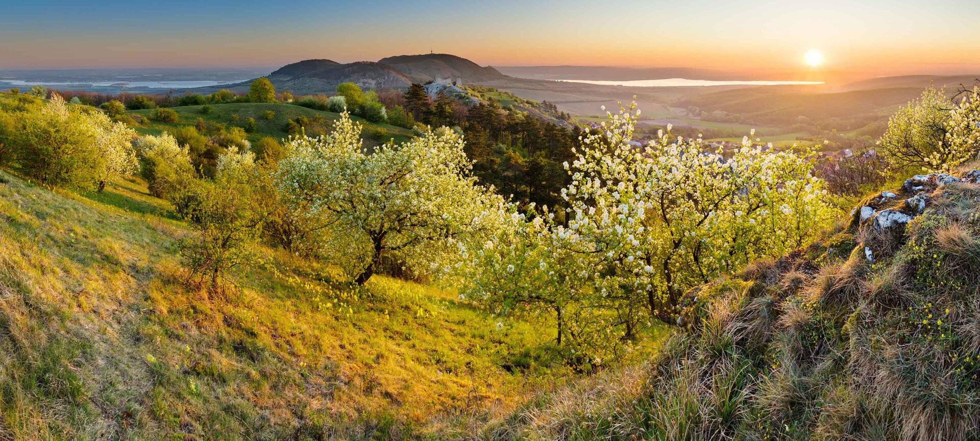 Brněnsko Go from Brno jižní Morava autor Jan Miklín