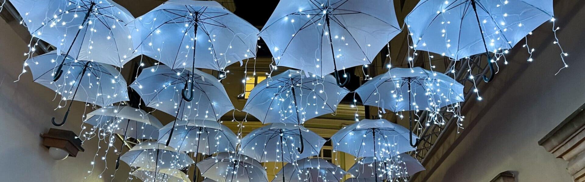 Go from Brno udalosti Brnenske Vanoce