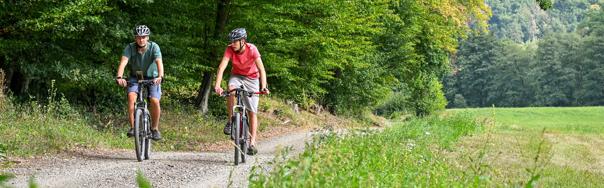 Go from Brno Cyklovýlet údolím Bobravy