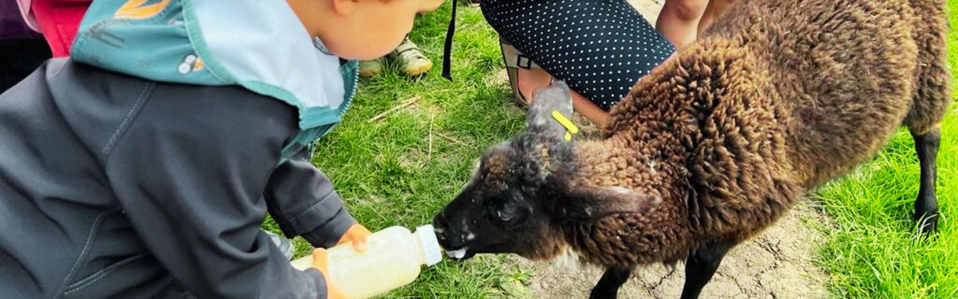 Go from Brno zoo a farmy na Brněnsku