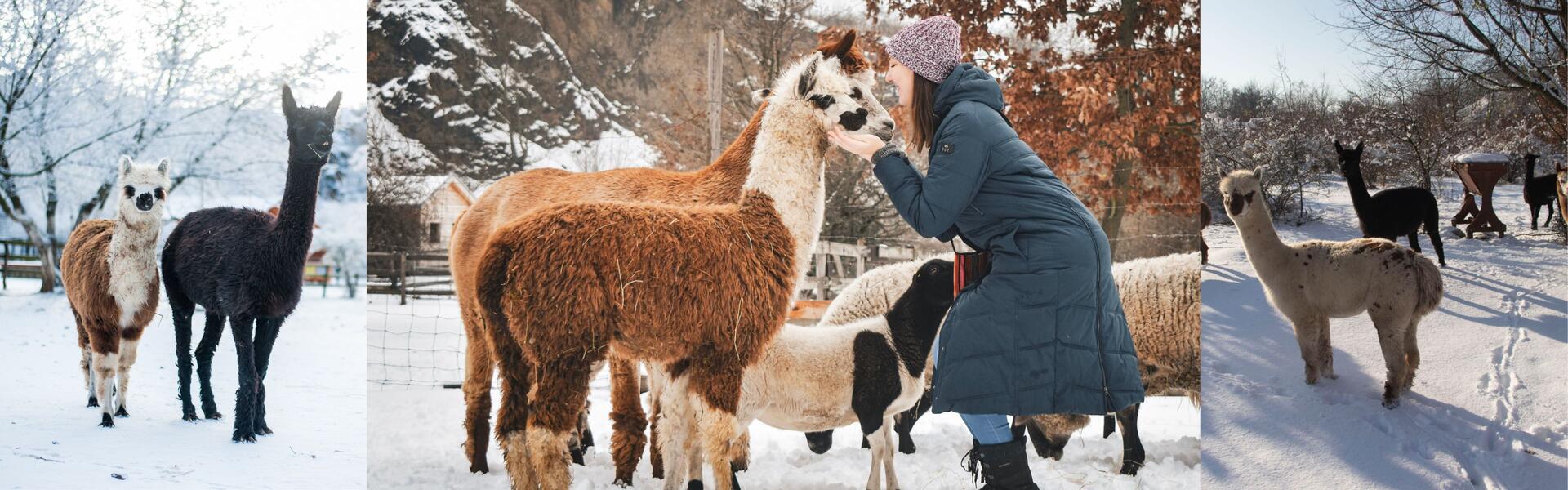 Go from Brno vyletni cile