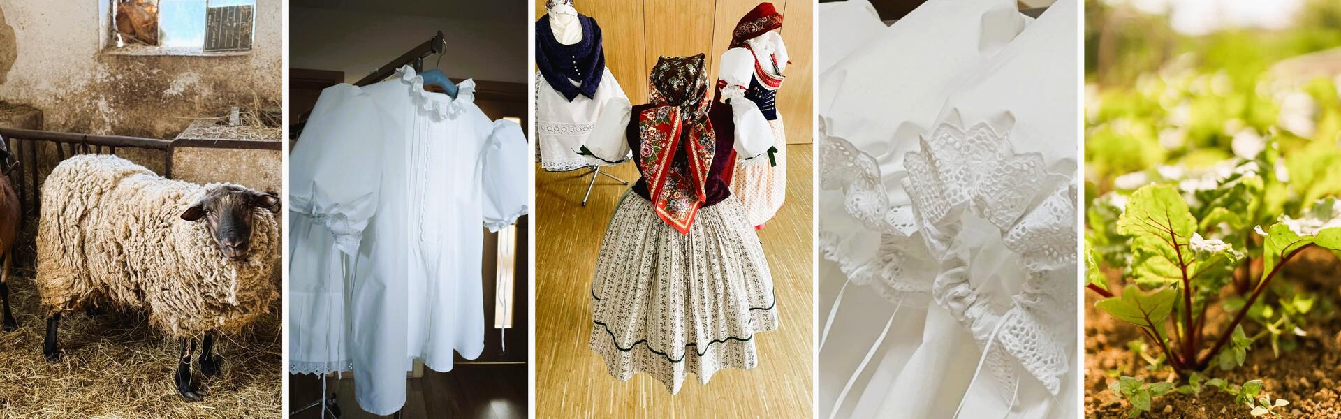 Go from Brno info aktuality jaro za Brnem