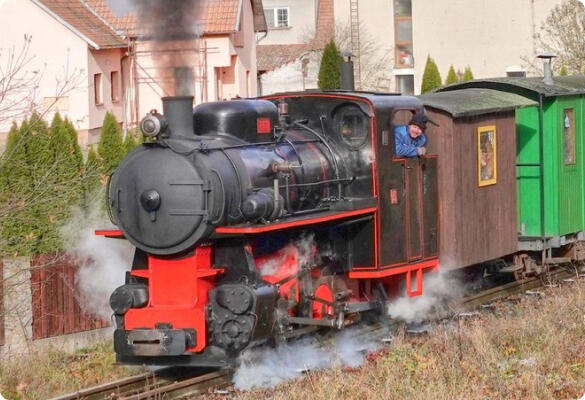 Autumn events in Brno region