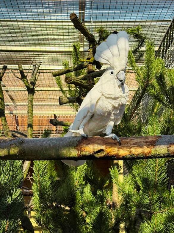 Go From Brno Na farmu za zvířaty