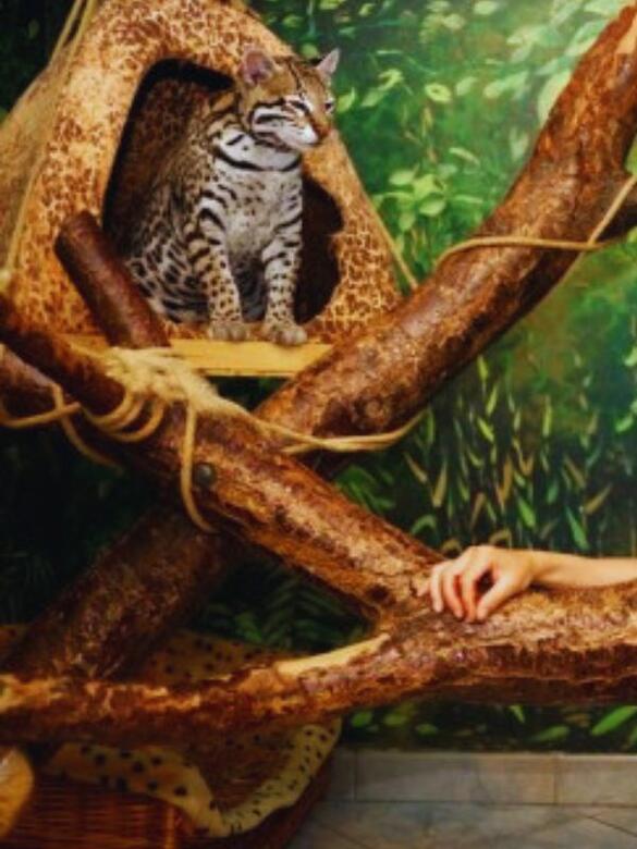 Go From Brno Na farmu za zvířaty