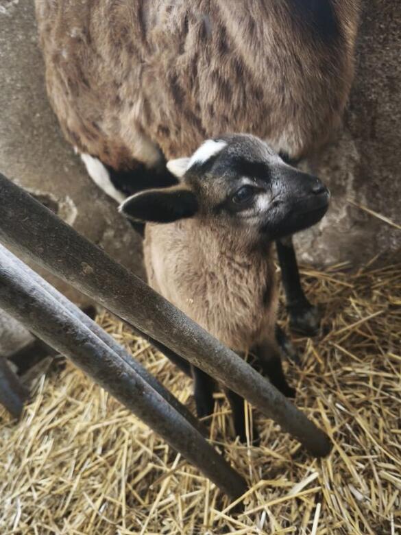 Go From Brno info aktuality Jaro za Brnem