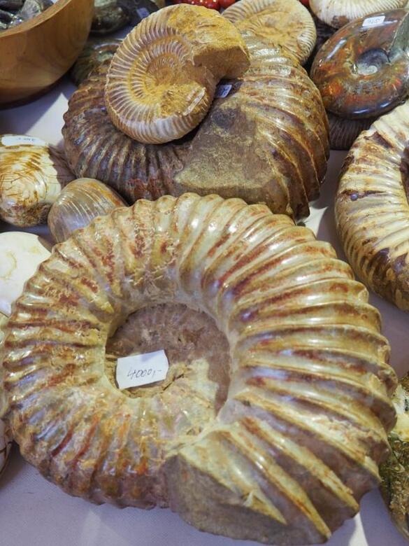 Go From Brno info aktuality Jaro za Brnem