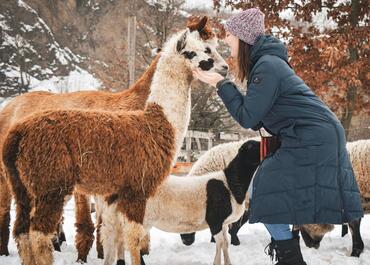 Go from Brno vyletni cile