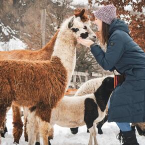 Go from Brno vyletni cile