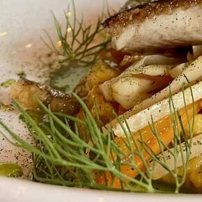 Go from Brno vyletni cile jídlo a pití 