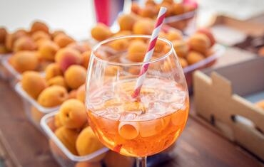 APRICOT HARVEST FESTIVAL