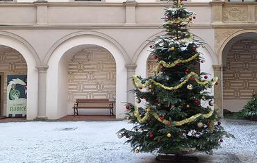 Go from Brno info aktuality