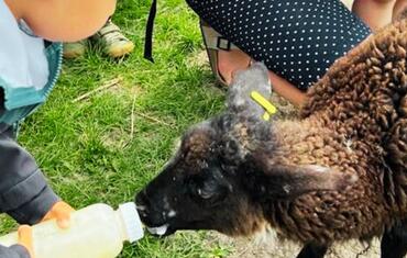 Go from Brno zoo a farmy na Brněnsku