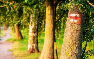 Go from Brno info aktuality GoFromBrno Trails